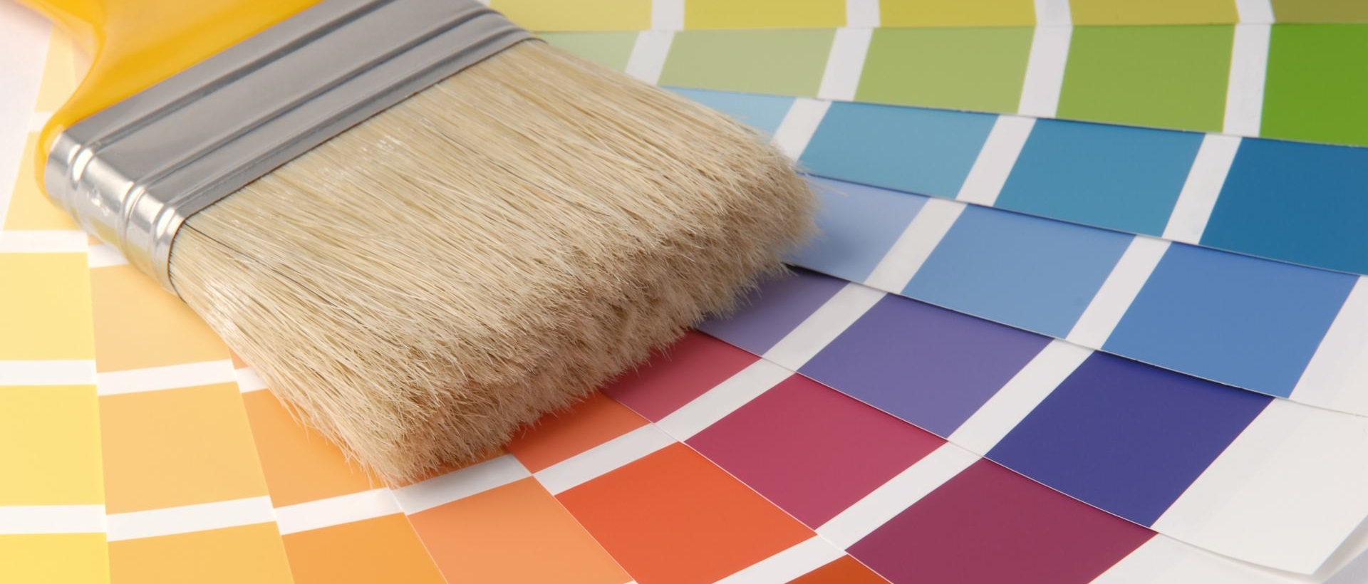 Painter EN1